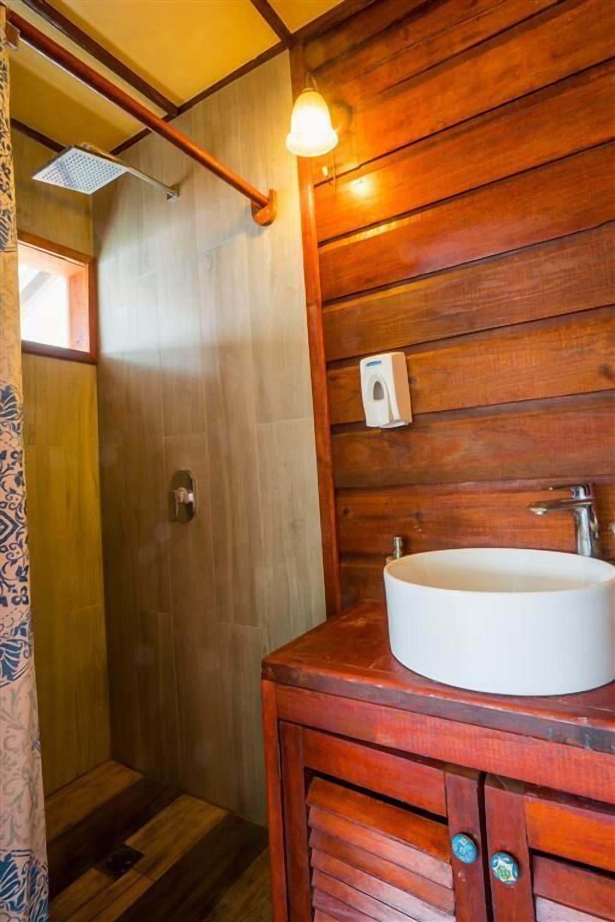 A wooden bathroom with a shower, a sink, and a soap dispenser.