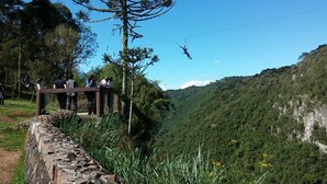 A zip-lining activity with a wooden platform and a large tree in a mountainous area.