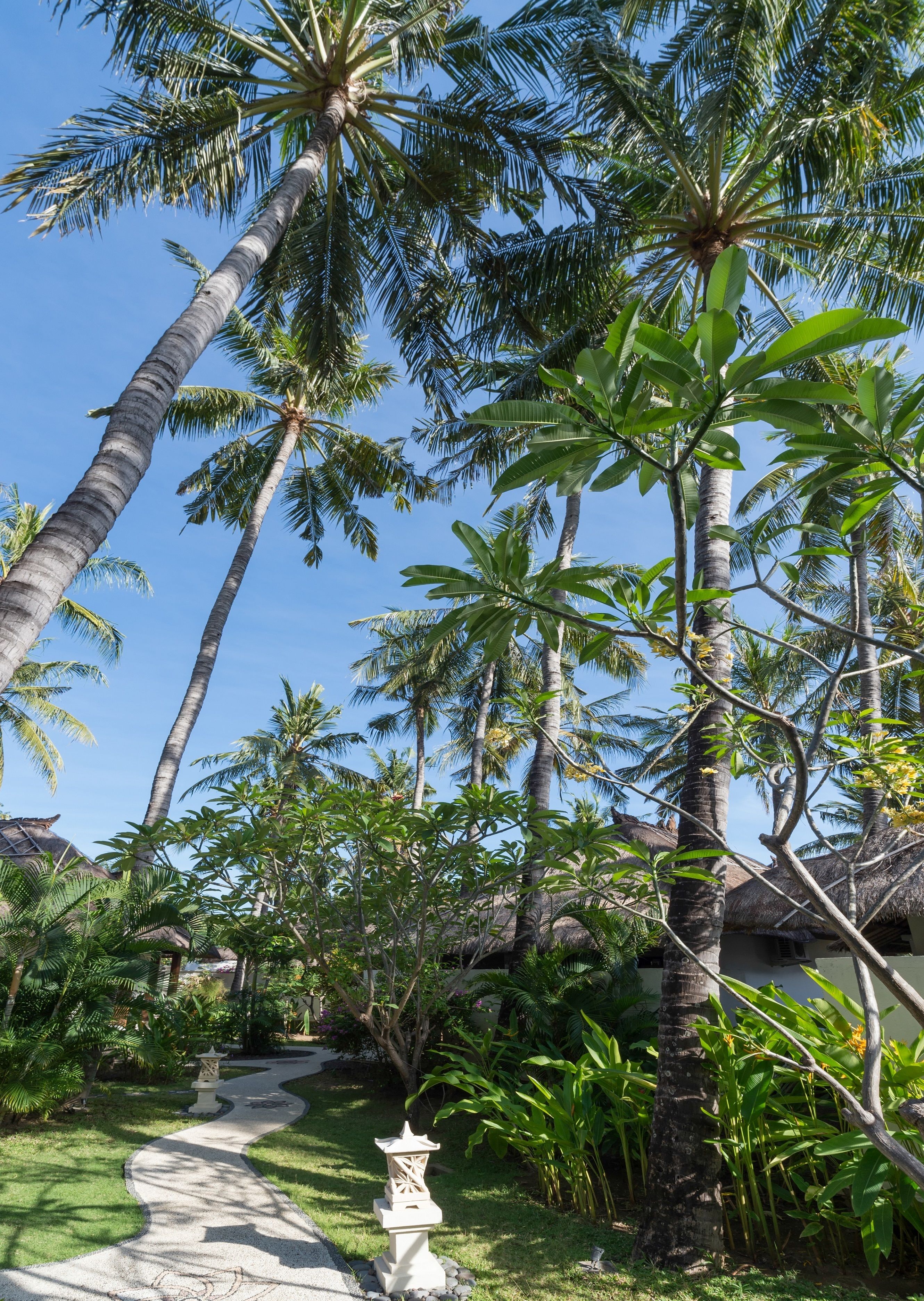 A tropical garden with palm trees, a pathway, and a traditional stone lantern.