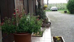 Une allée menant à une résidence, agrémentée de plantes en pot et où est garée une voiture.