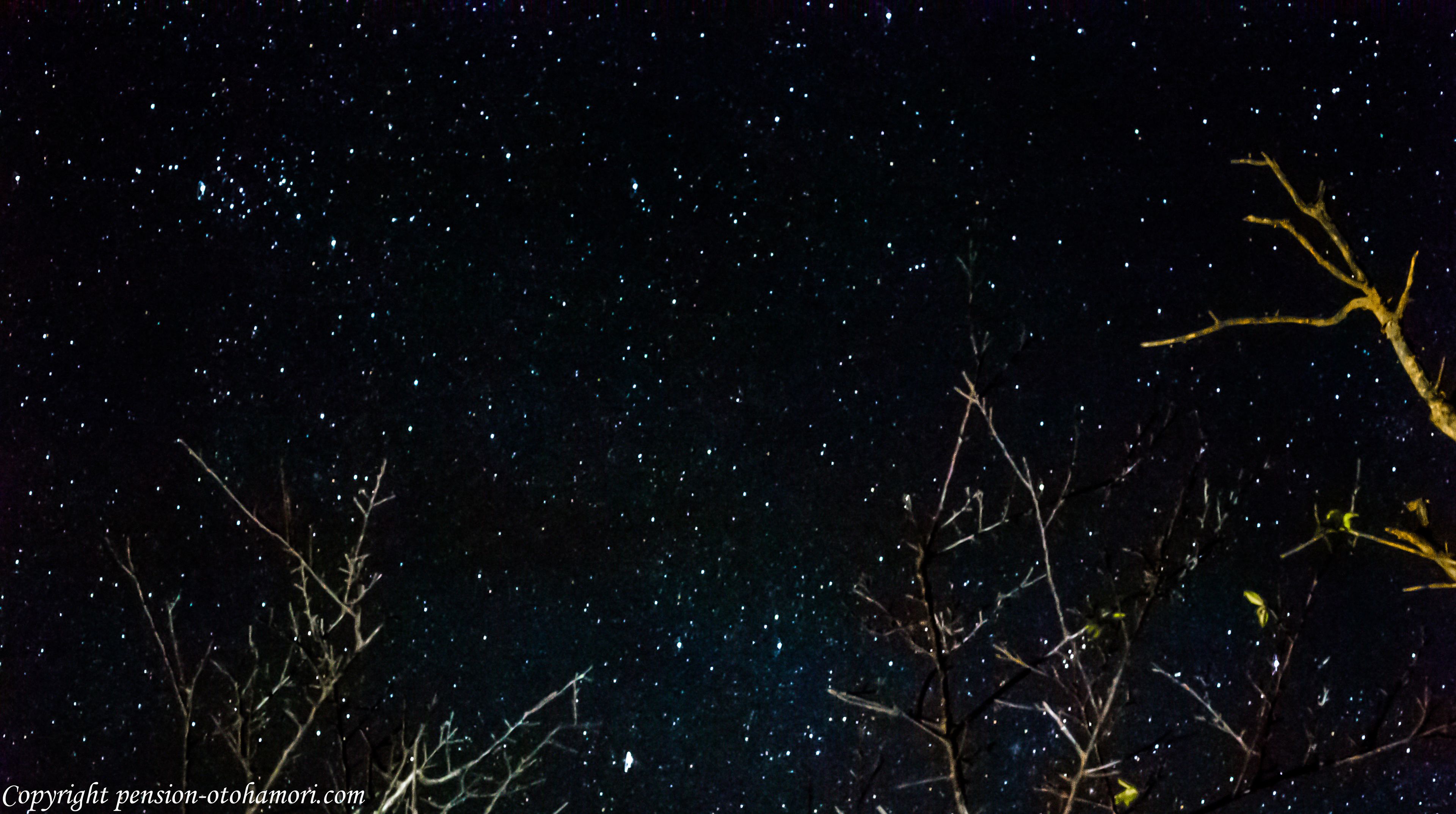 A night sky filled with stars, with bare tree branches in the foreground.