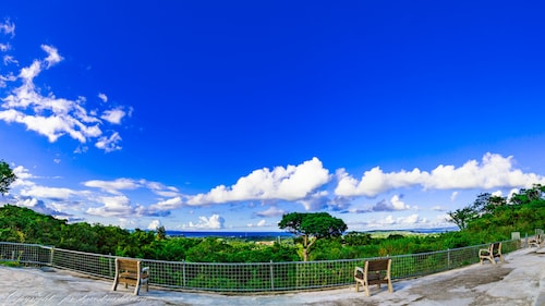 施設からの眺望