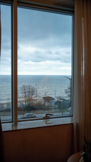 A view from a window overlooking a body of water with a distant shoreline, a small building, and bare trees. - Yildiz Life Hotel (Trabzon)