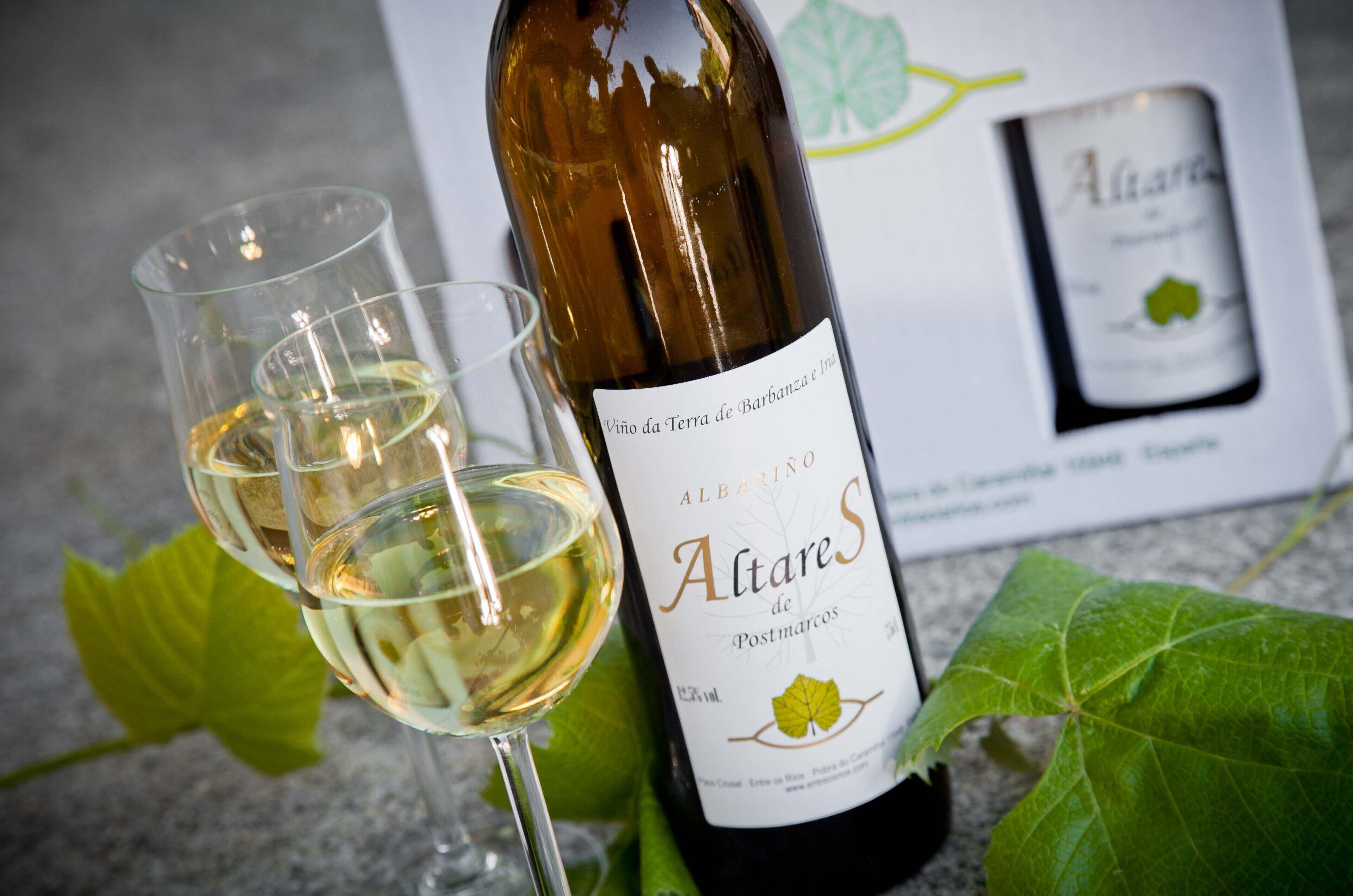 Una botella de vino y dos copas de vino blanco sobre una mesa con una hoja verde.