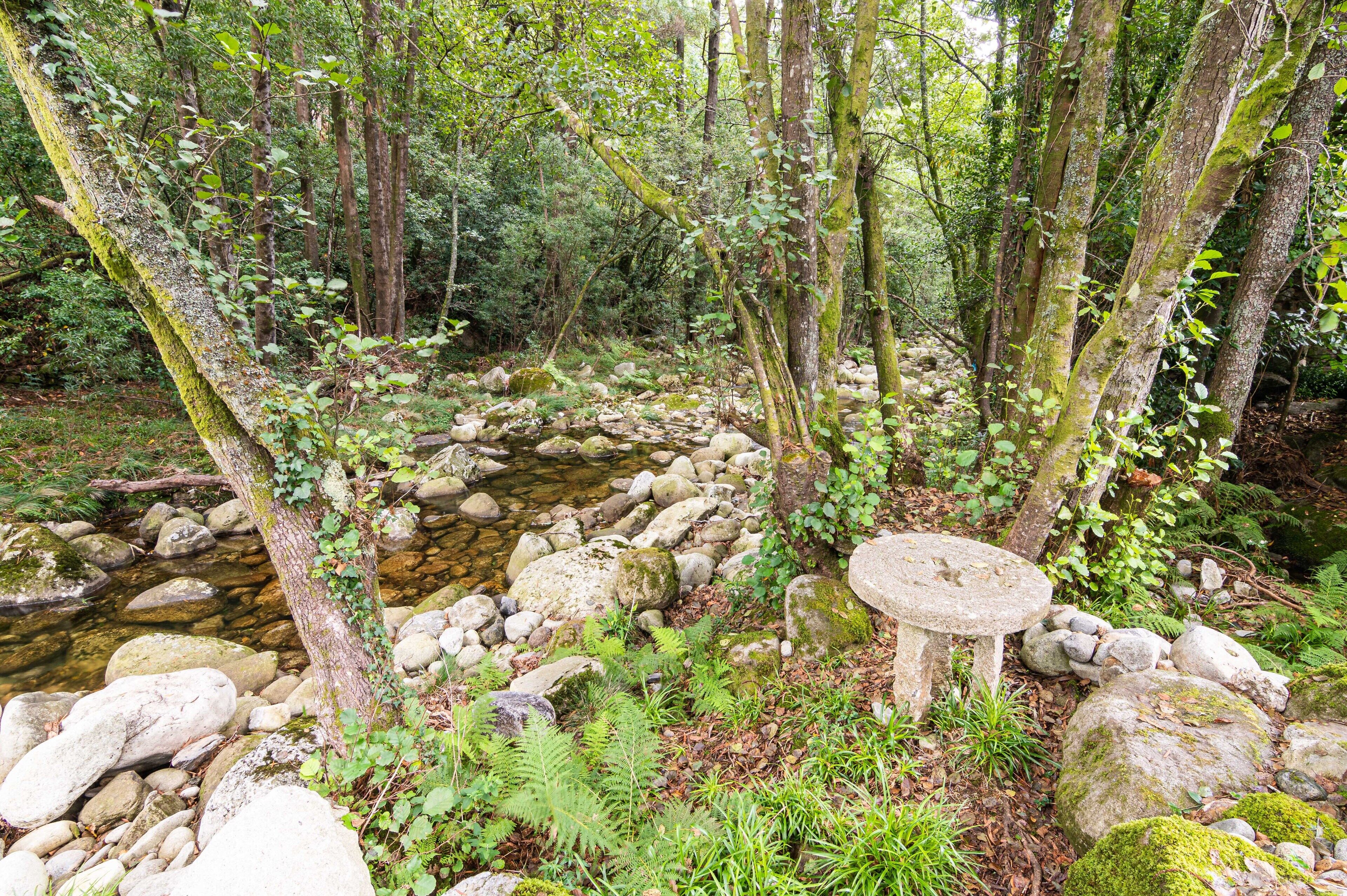 Entorno natural al aire libre con un arroyo pequeño, rocas y una mesa de piedra rodeada de vegetación.