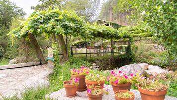 A garden with potted plants and a stone pathway.