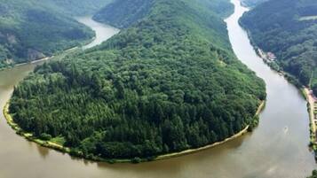 A river winding through a densely forested area with a small island in the center.
