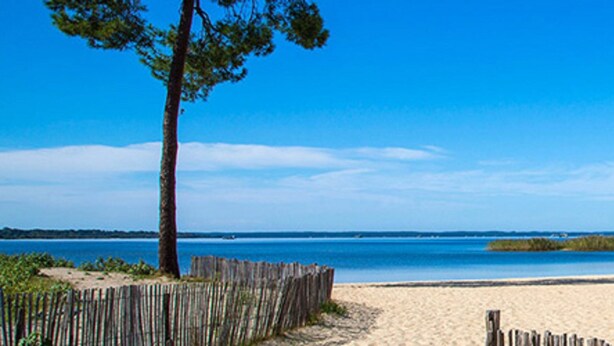 Una playa con una valla de madera, un árbol y un cielo azul despejado.