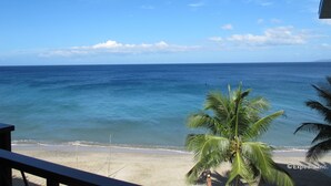 Vista de playa con cielos despejados, palmeras y una orilla arenosa.