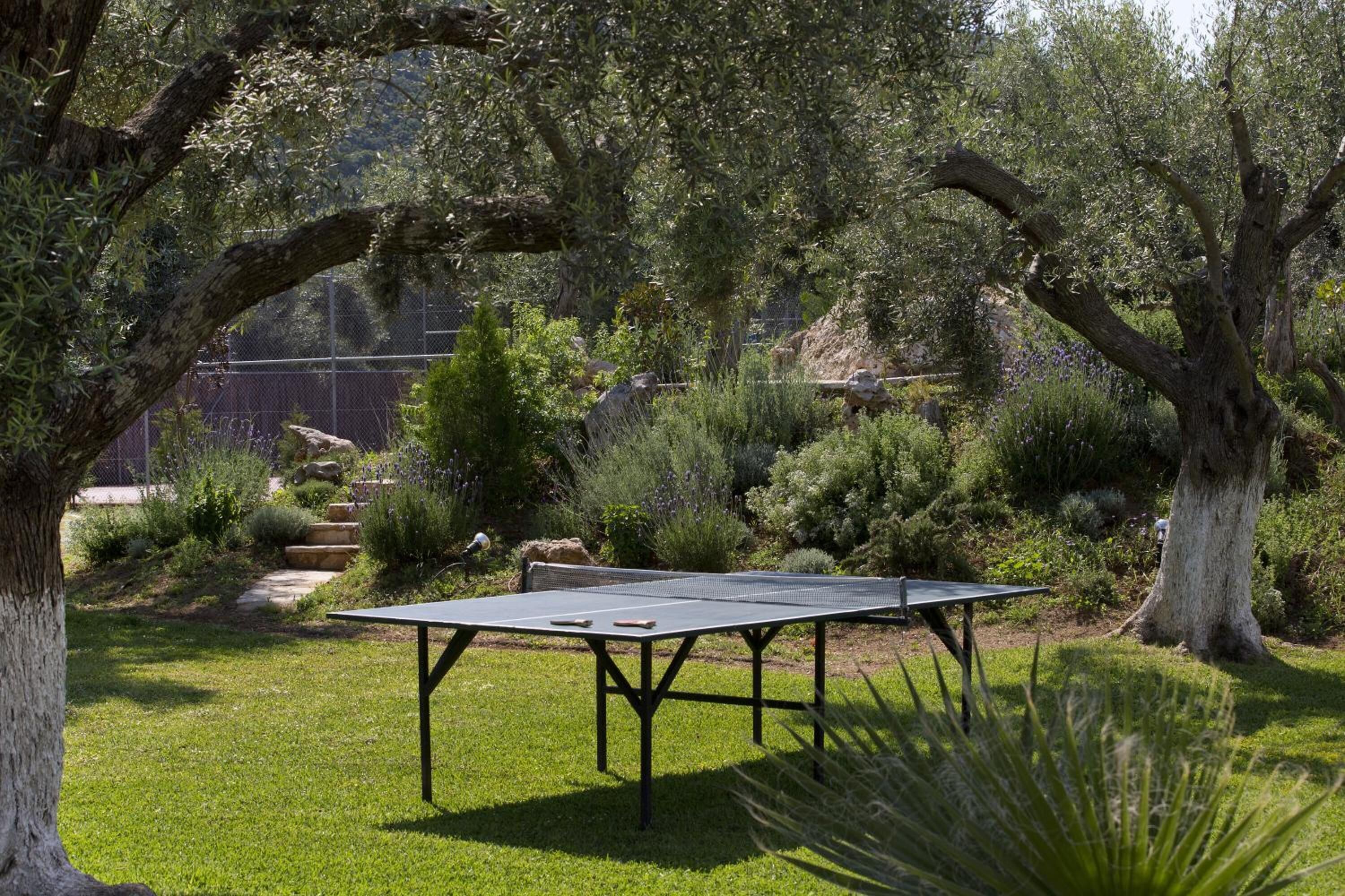 Una mesa de ping pong en un jardín con árboles y arbustos.
