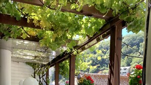 Un rincón exterior acogedor con una silla de mimbre y una mesa de vidrio, rodeado de abundante follaje y una pérgola.