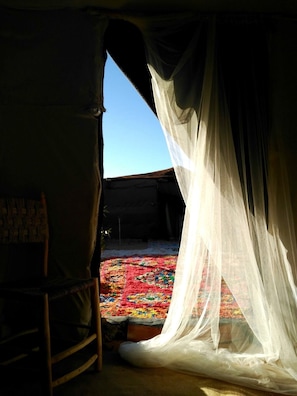 A tent with a colorful carpet and sheer curtains. - Kam Kam Dunes (Rissani)