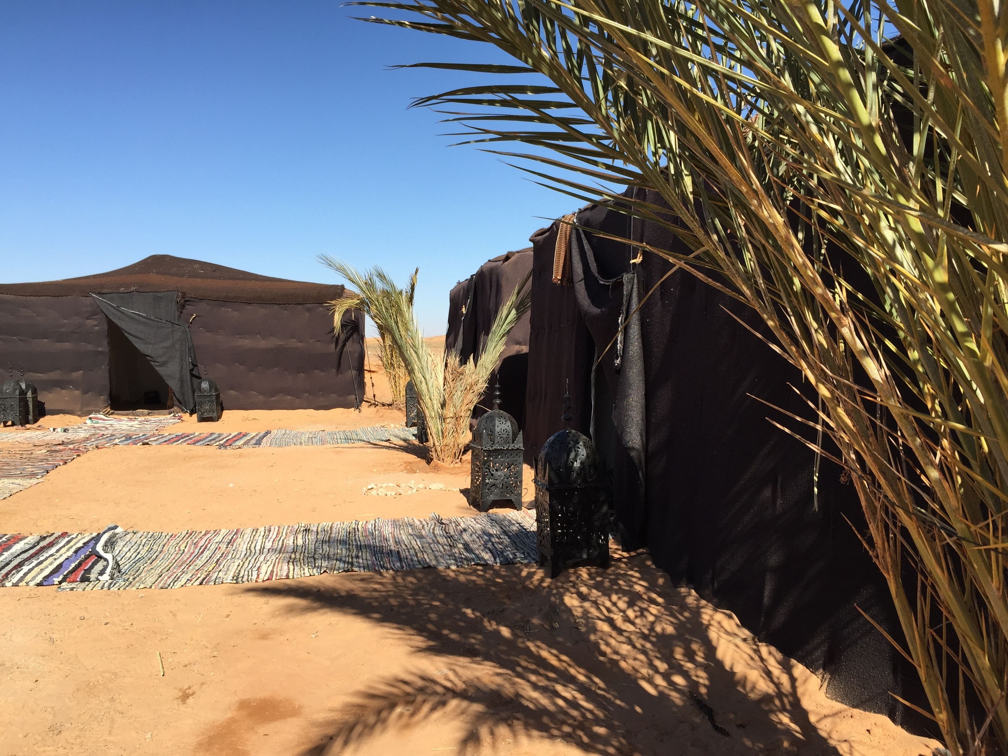 A desert scene with a tent-like structure, palm trees, and a patterned rug.