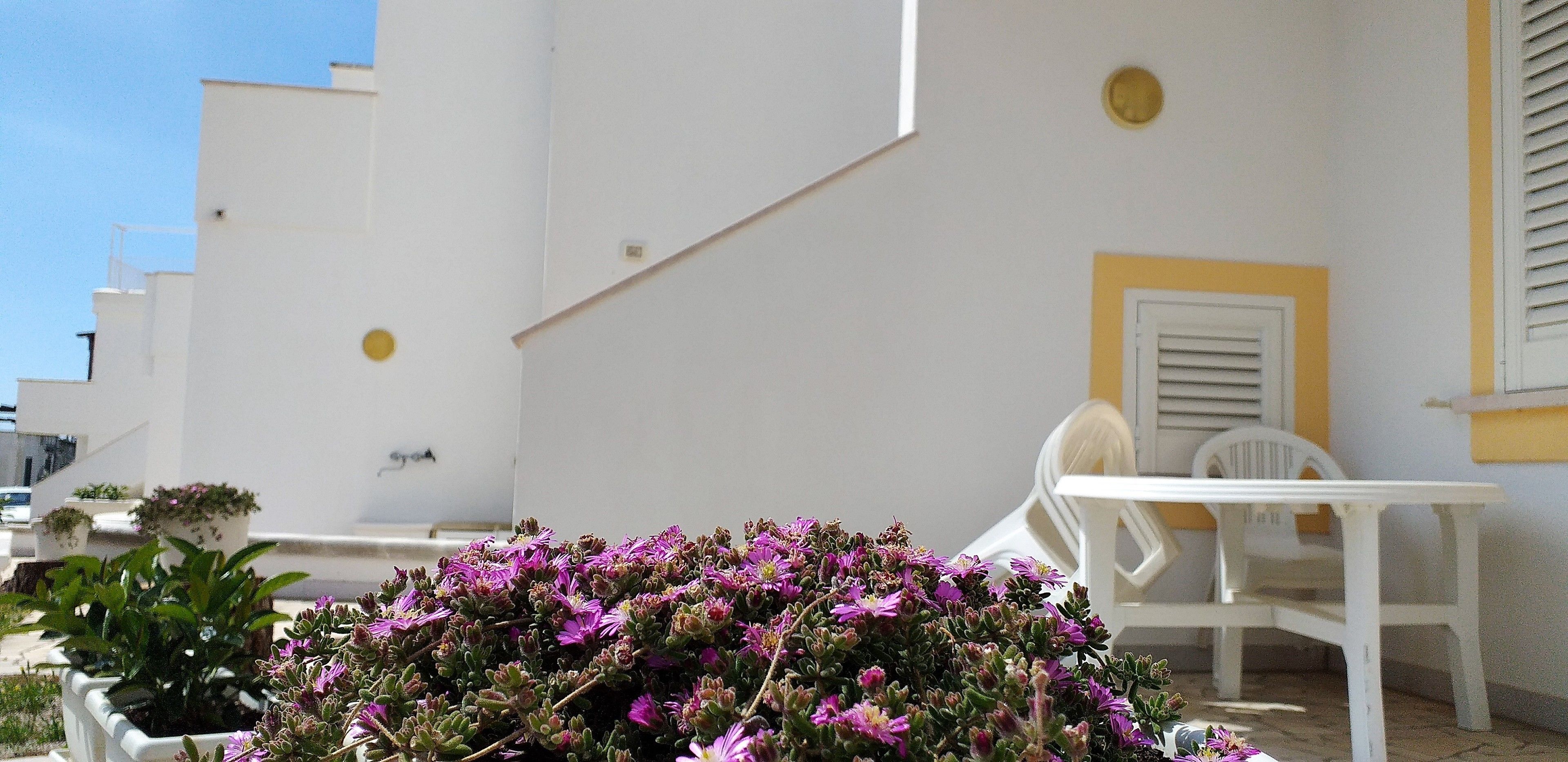 A white building with a white table and chairs, surrounded by purple flowers.