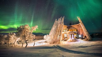 Scandinavian cuisine