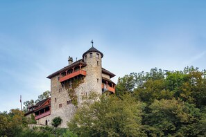 Un castillo de piedra con una torre, rodeado de árboles.