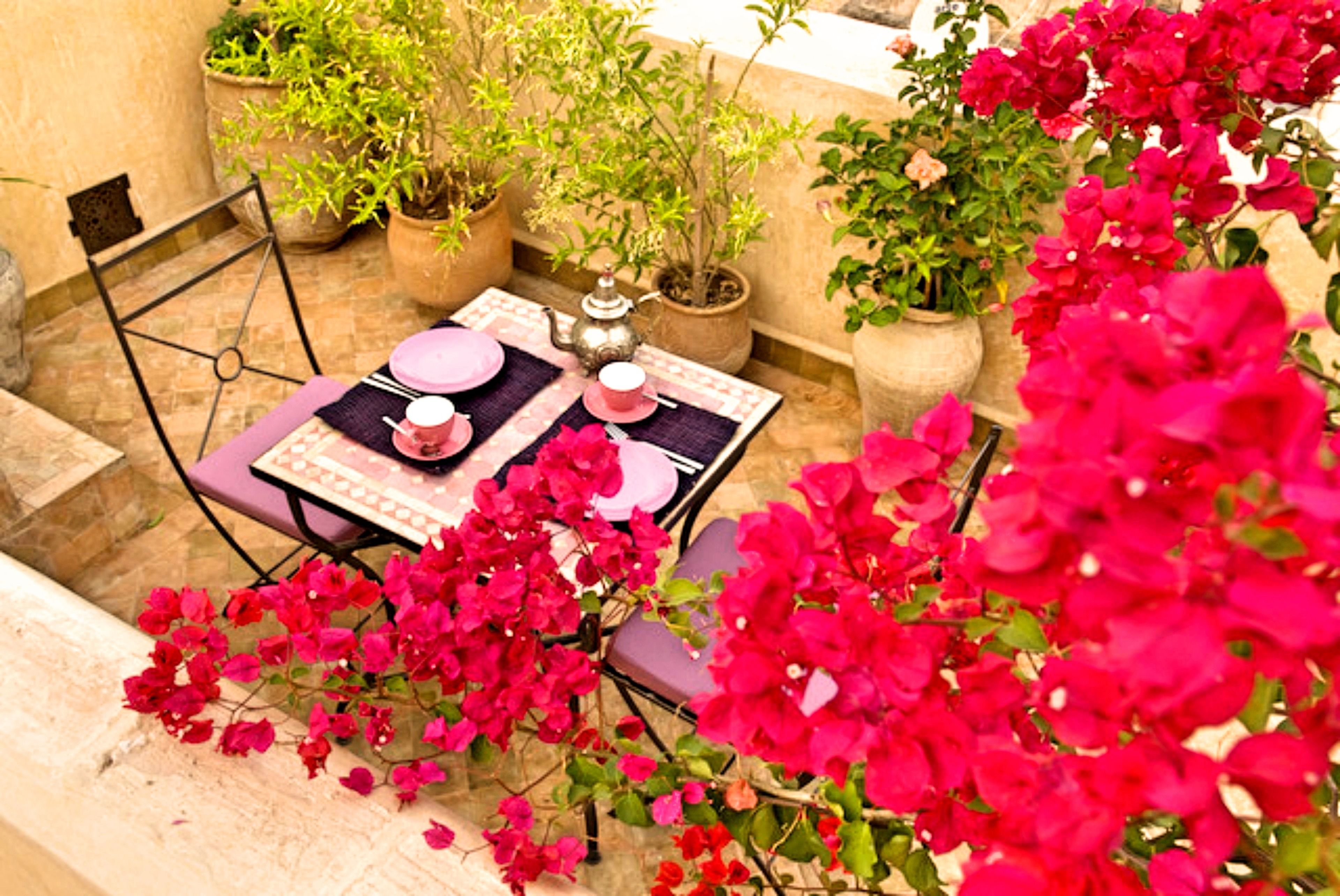 Una terraza con una mesa para dos, rodeada de macetas con plantas y coloridas flores de buganvilla.