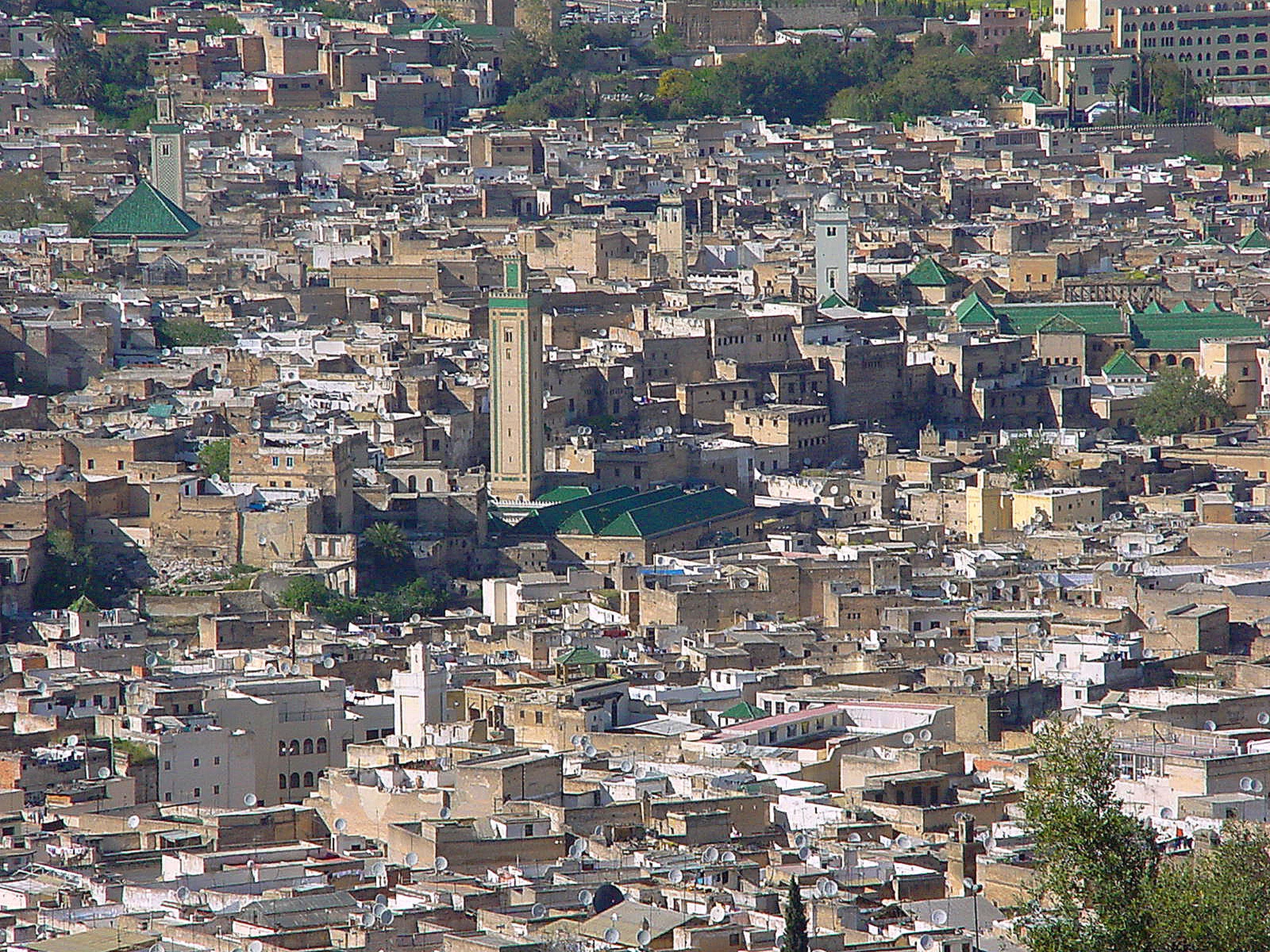 A densely packed urban area with numerous buildings, some with green roofs and a prominent minaret.