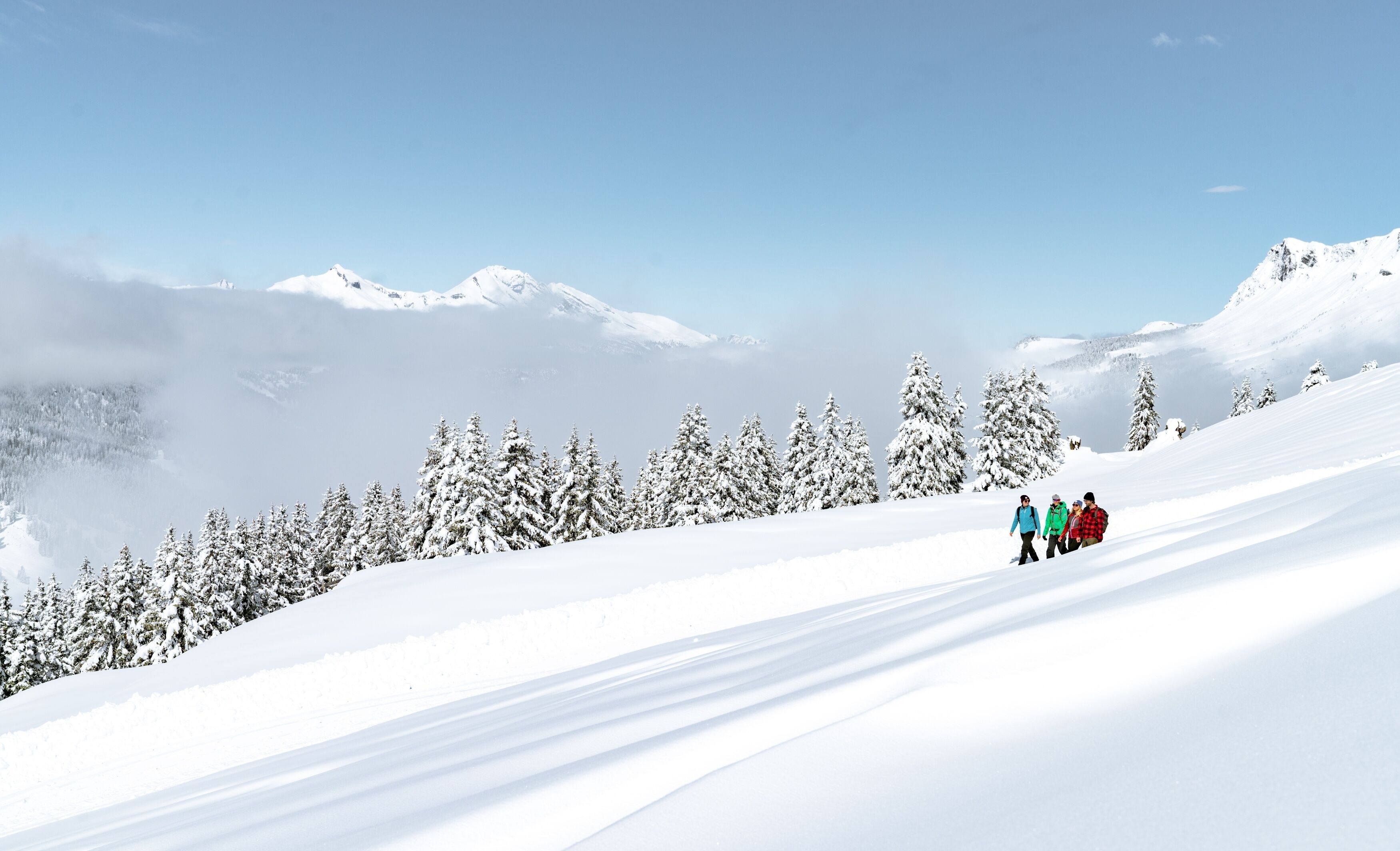 A snowy mountain landscape with a clear sky.