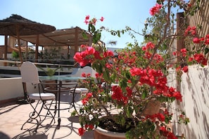 An outdoor patio with a table and chairs, surrounded by potted plants with red flowers. - Riad le Coq Fou (Marrakech)