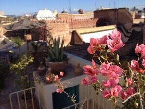 Terrace/patio - Riad le Coq Fou (Marrakech)