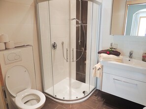 A modern bathroom with a glass-enclosed shower, a toilet, and a vanity with a mirror.