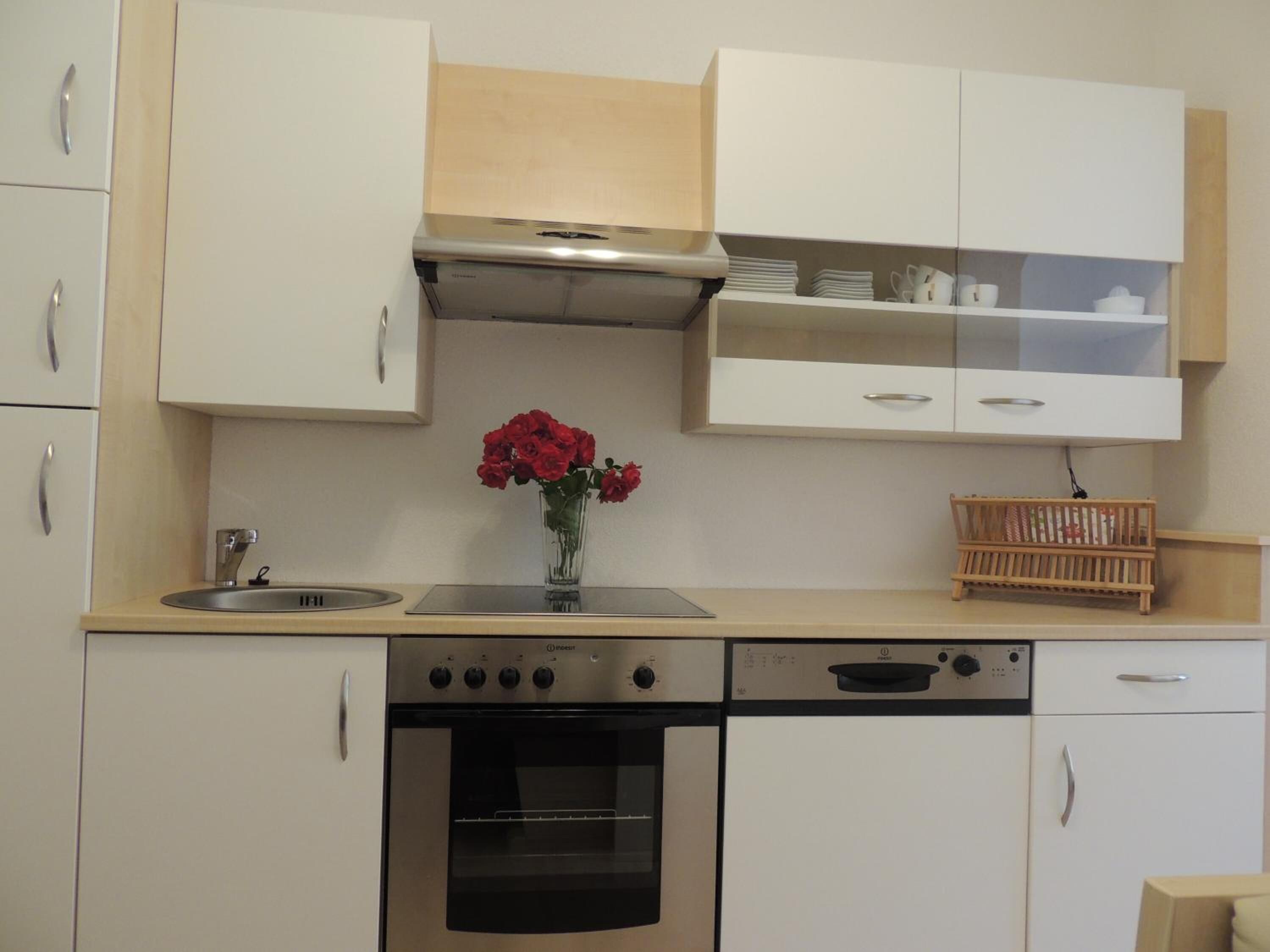 full-sized fridge, oven, stovetop, dishwasher