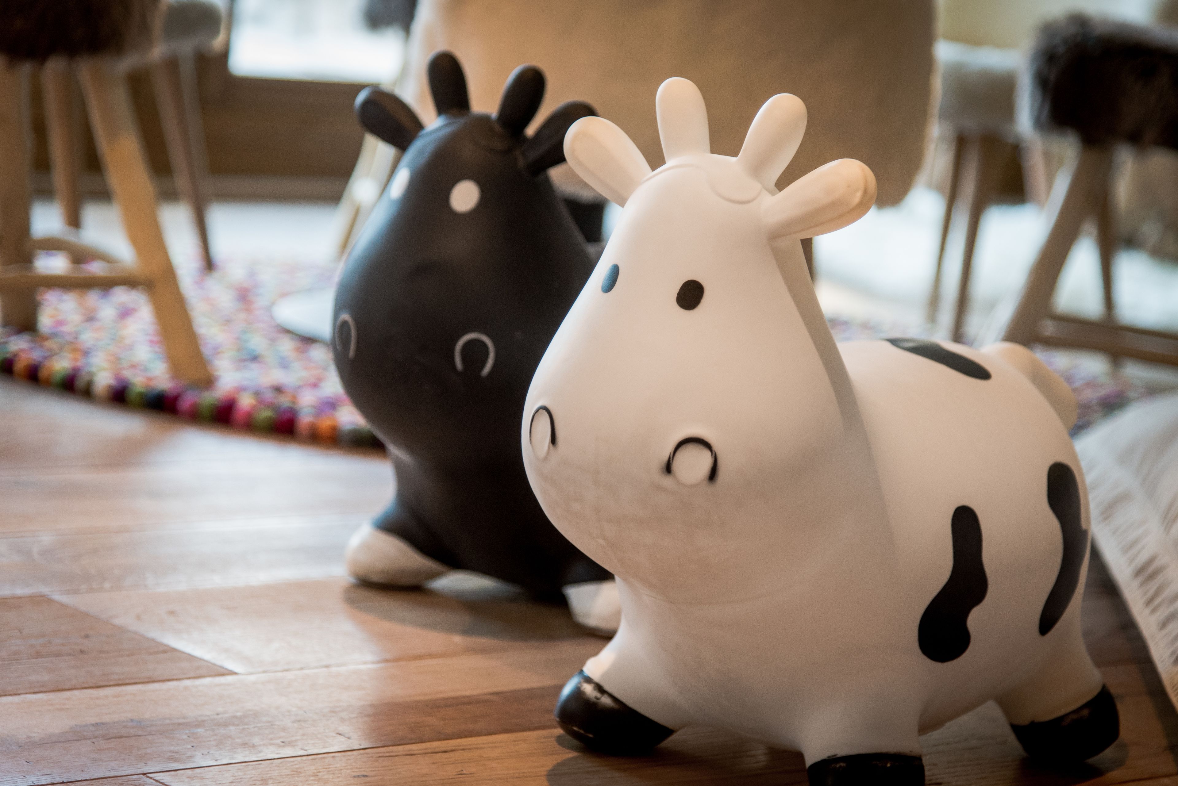 Two toy cows on a wooden floor.