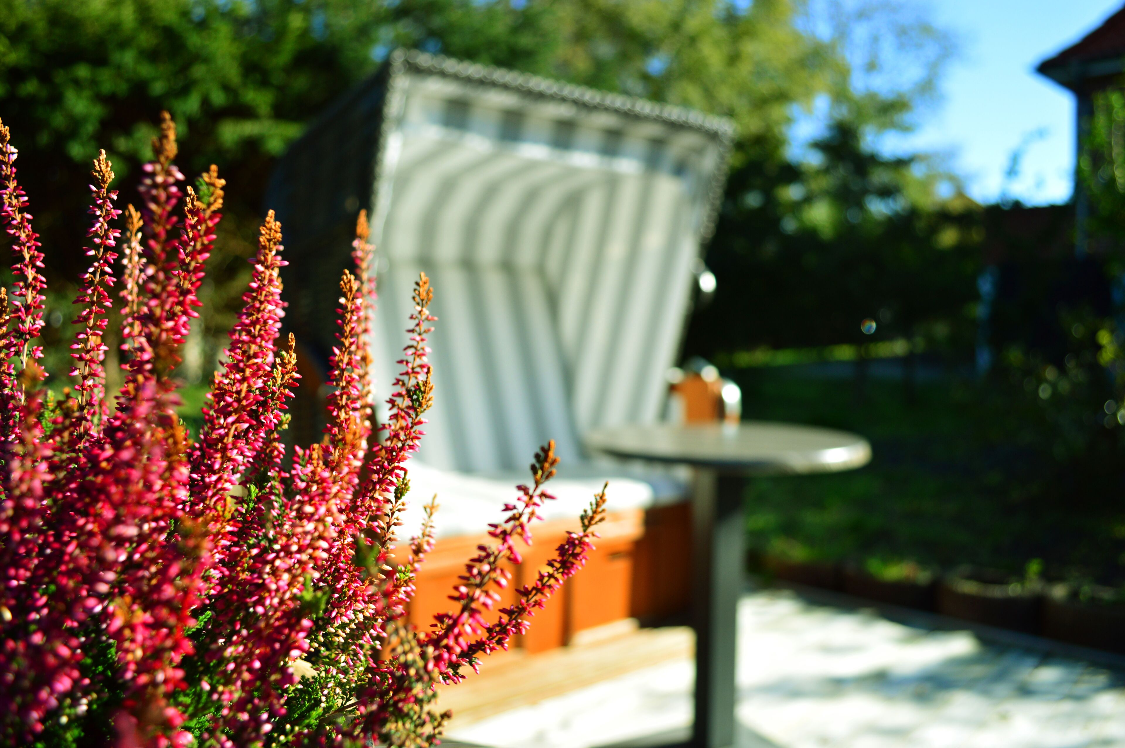 Foto - Hotel kleine Auszeit - Adults Only