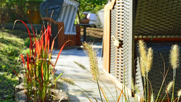 Un jardín con plantas y una silla de mimbre.