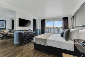 Minibar, free WiFi - Mövenpick MS Hamees (Luxor)