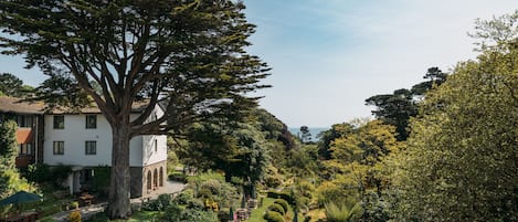 A large tree in front of a white building with a garden path leading to a seating area.