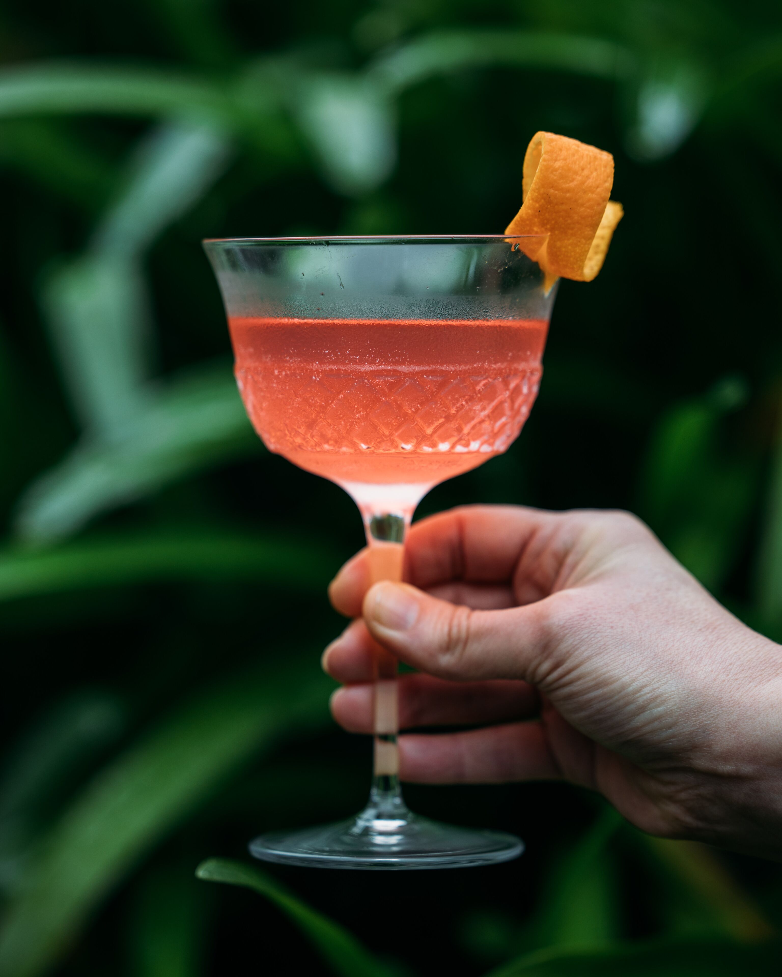 Eine Hand hält ein Cocktailglas mit einer Orangenscheibe.