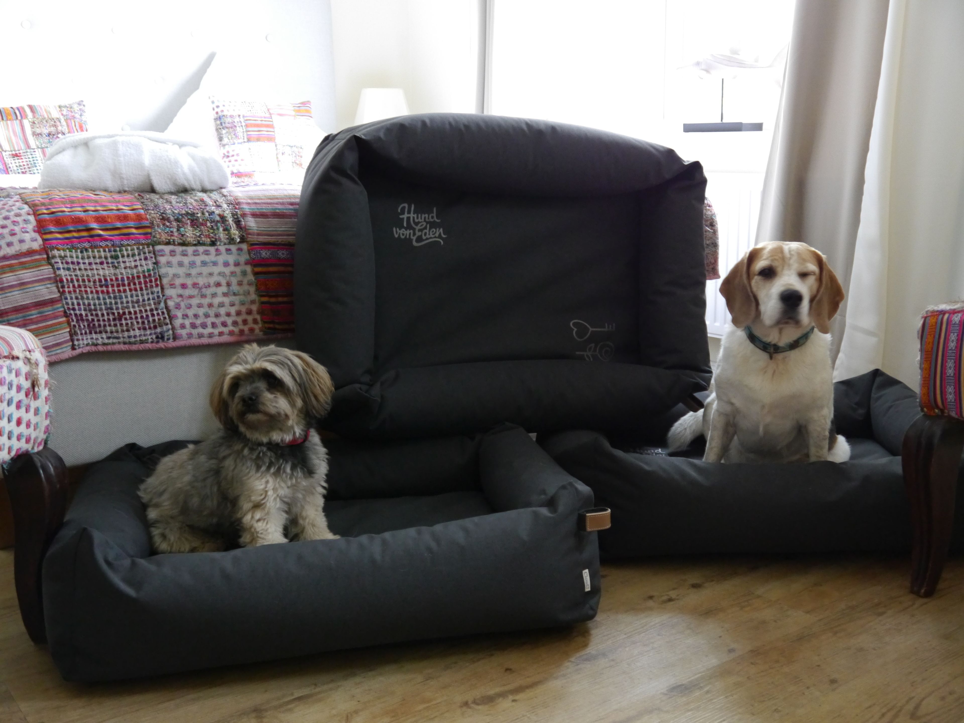 Deux chiens sont allongés dans des paniers noirs, et un quilt aux couleurs vives se trouve à l’arrière-plan.