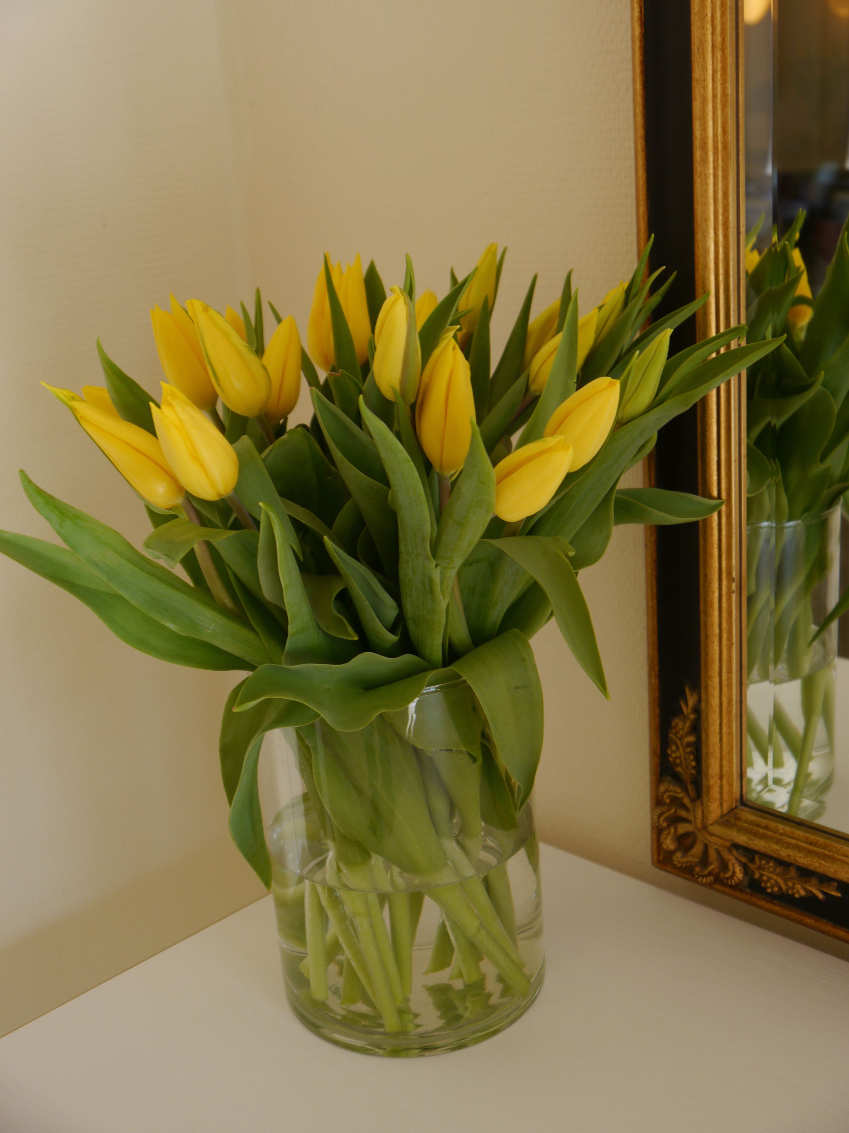 A clear glass vase with yellow tulips on a white surface.