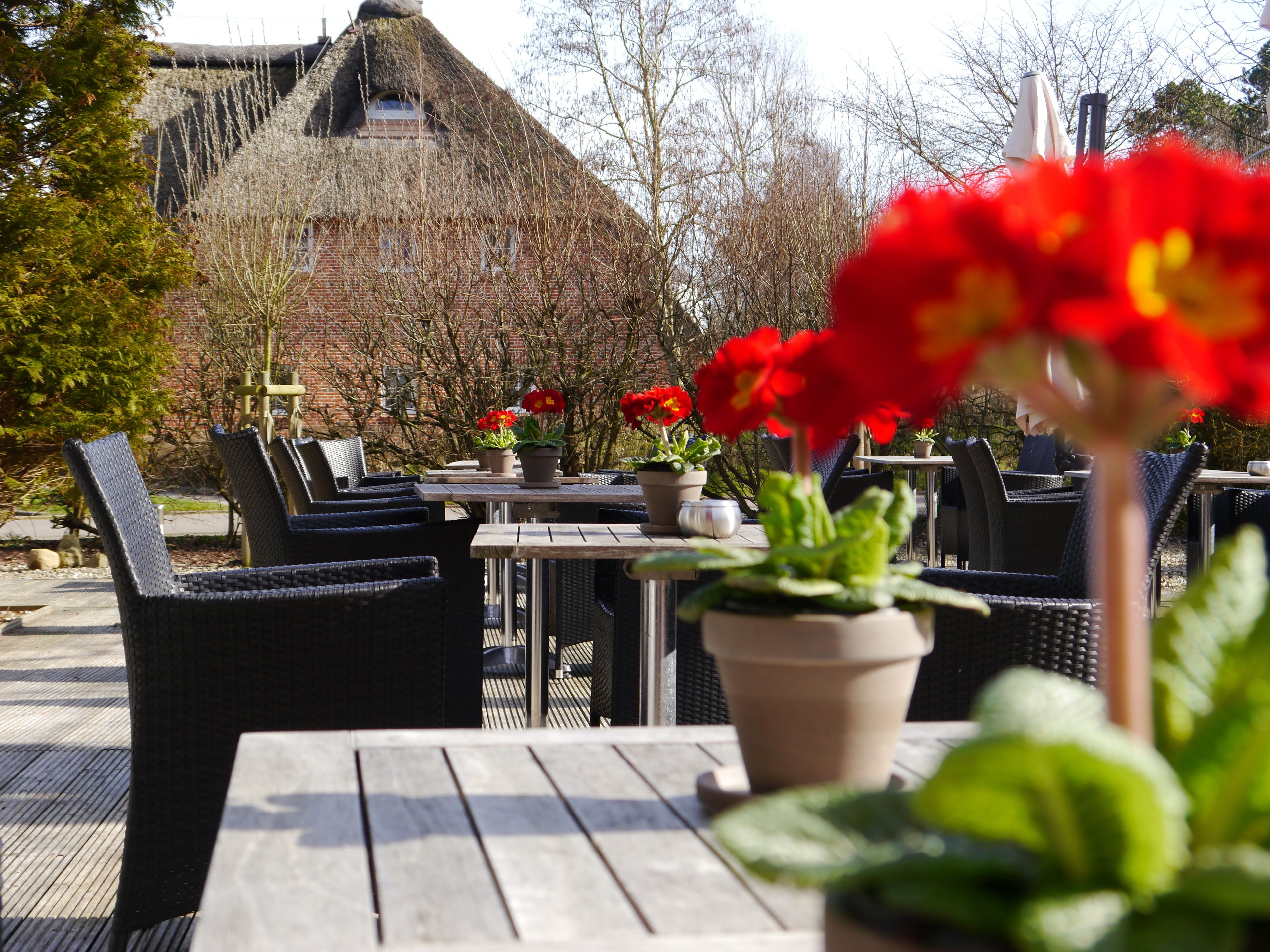 An outdoor seating area with tables and chairs, potted plants, and a thatched-roof building in the background.