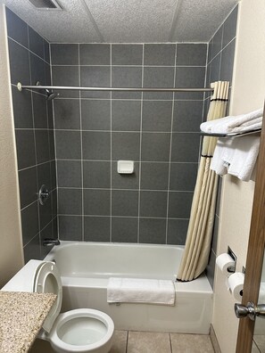 Combined shower/bathtub, deep-soaking bathtub, free toiletries