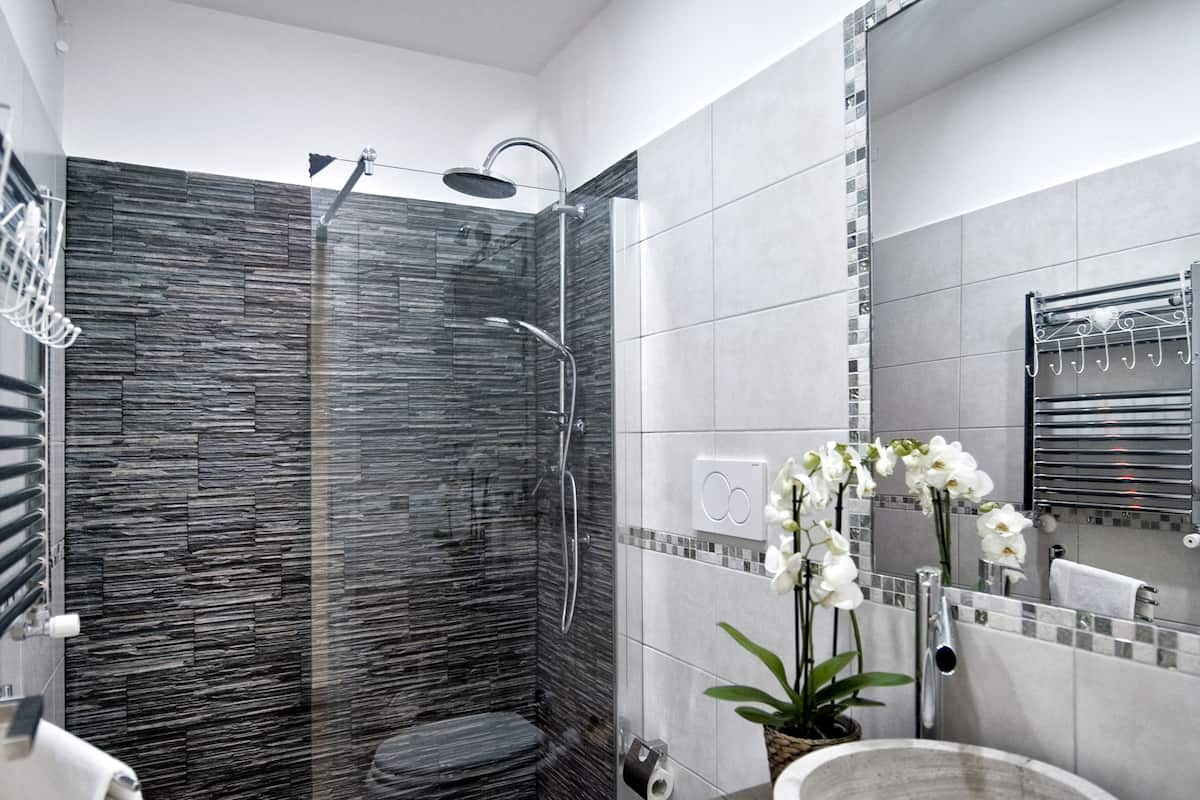 Regadera, amenidades de baño gratuitas, secadora de cabello, toallas