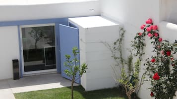 Un edificio moderno con una puerta azul, un árbol pequeño y un rosal.