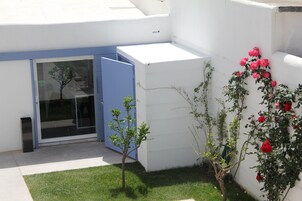 Un edificio moderno con una puerta azul, un árbol pequeño y un rosal.