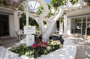 Triple Room | View from room