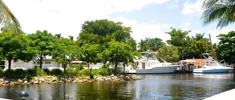 A marina with boats docked, surrounded by lush greenery and trees.