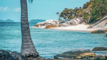 Een strand met grote rotsen, een palmboom en een berg in de verte.
