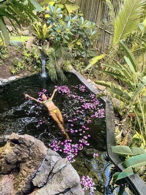 Premier Villa, 1 King Bed, Private Pool, Sea View | Private pool