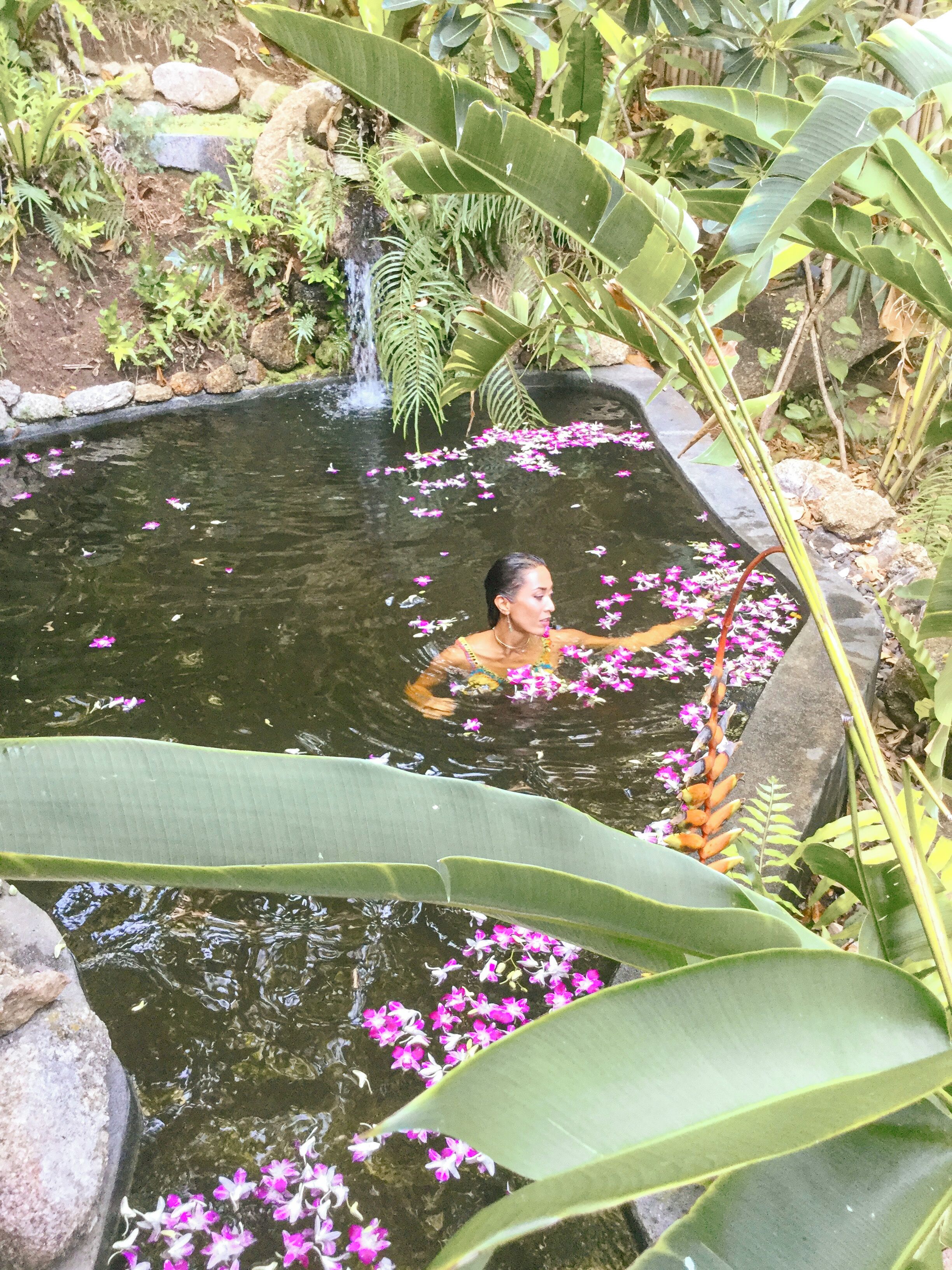 Une personne se trouve dans un étang, entourée de grandes feuilles vertes et de fleurs roses.