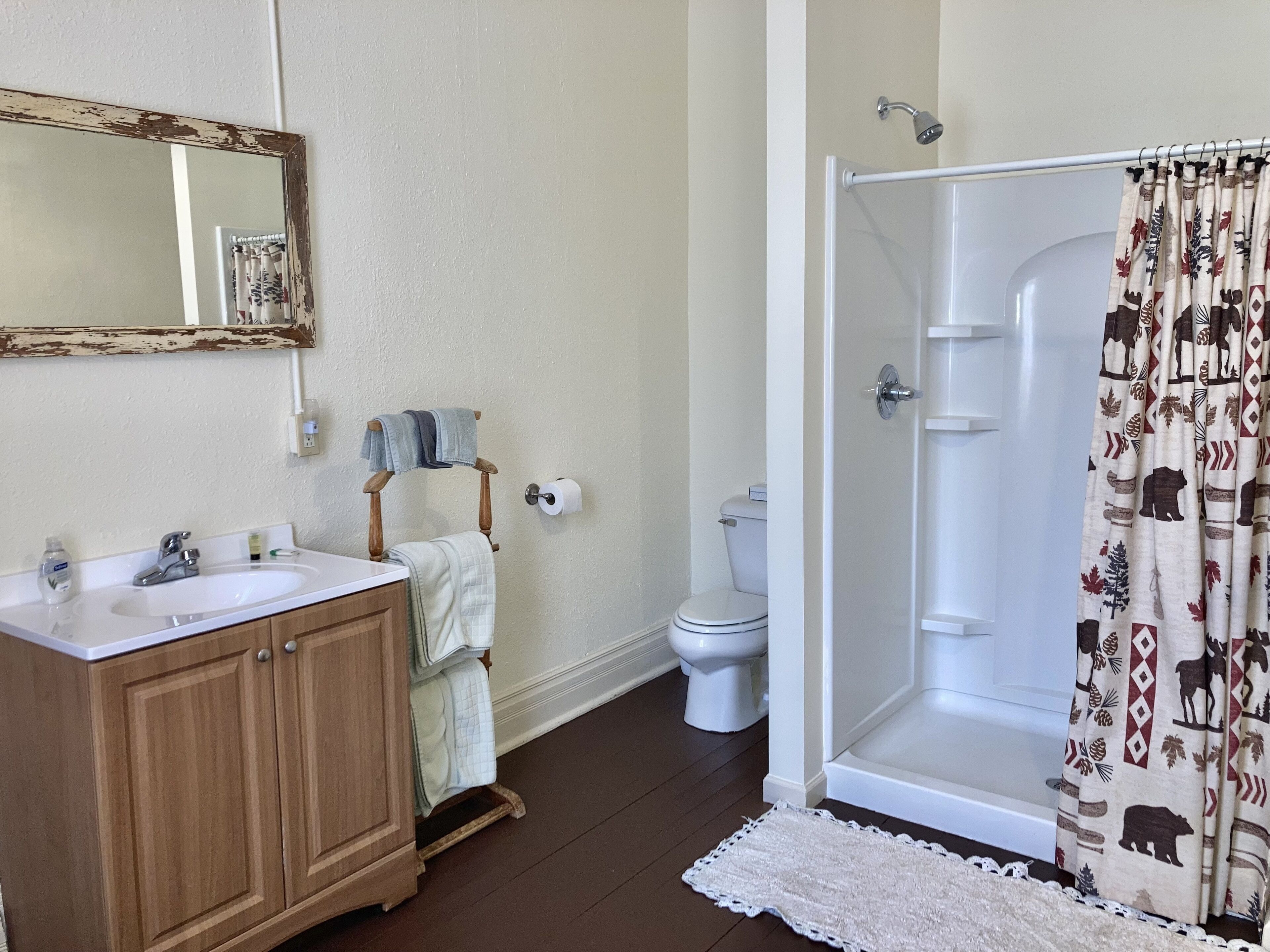 traditional apartment, 1 king bed with sofa bed (second floor walk up) | bathroom shower