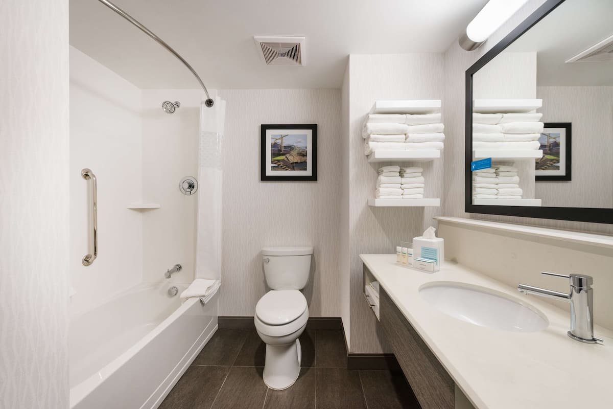 combined shower/bathtub, free toiletries, hair dryer, towels