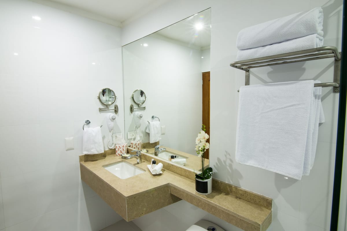 shower, free toiletries, hair dryer, towels