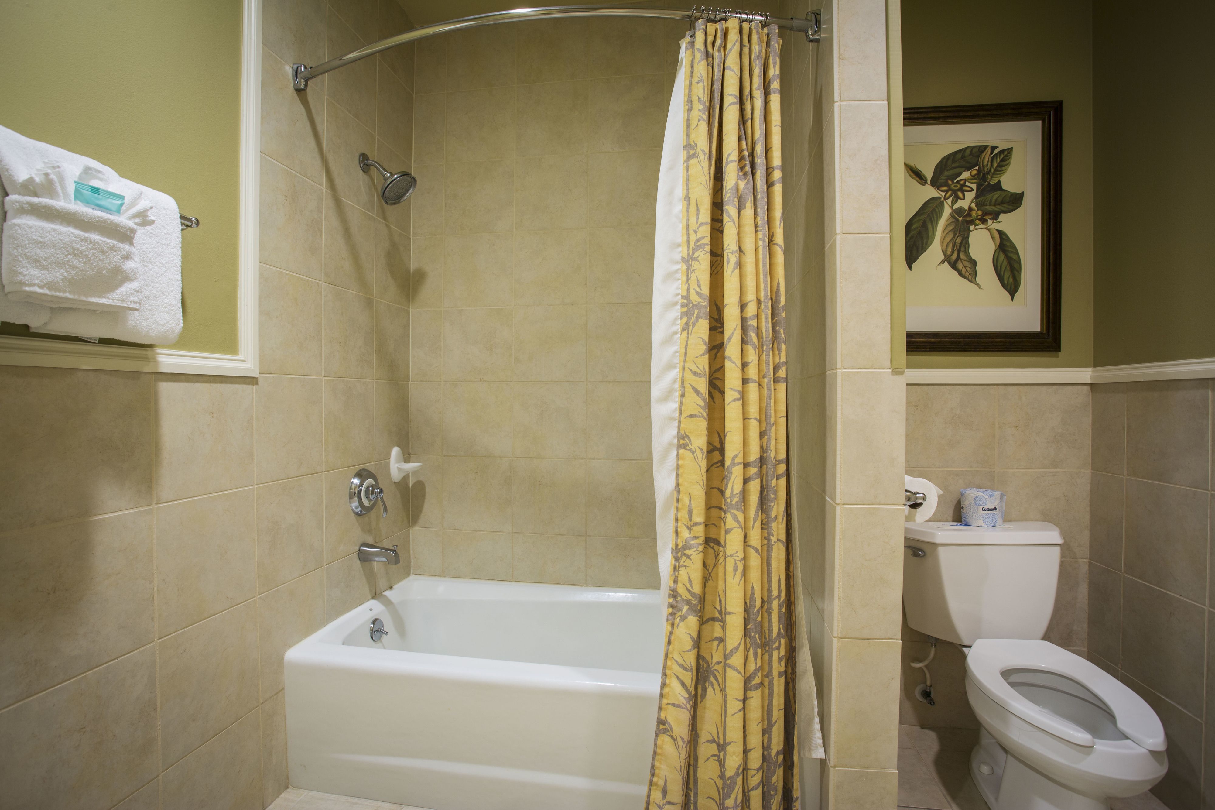 combined shower/bathtub, free toiletries, hair dryer, towels