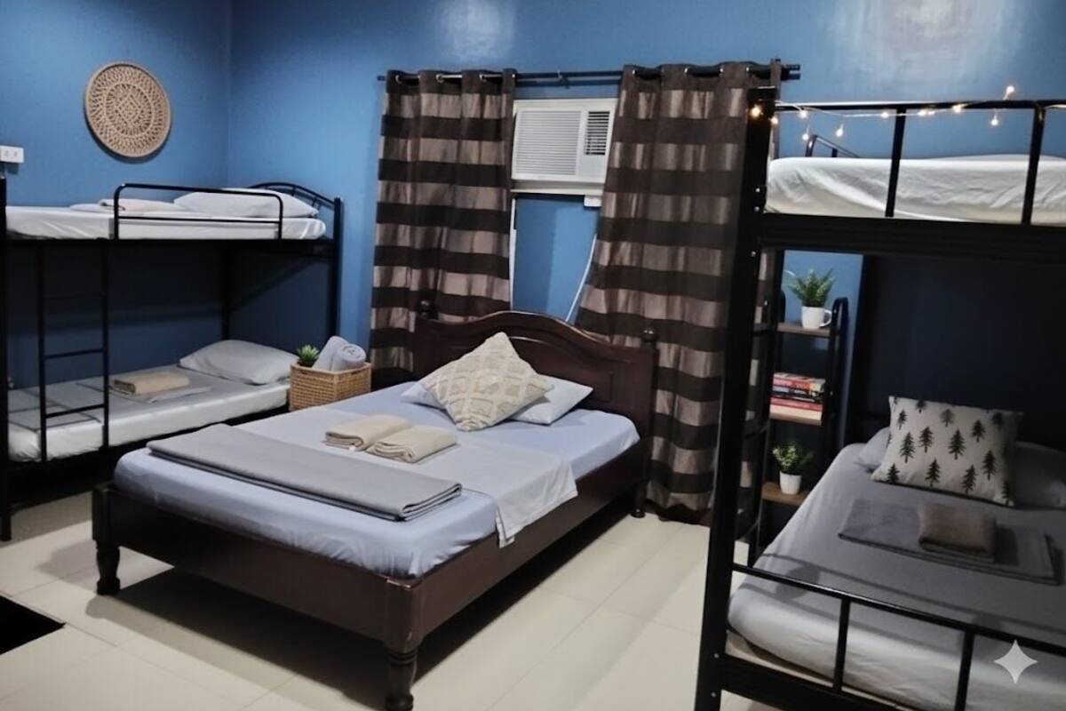 Una habitación con una cama individual, una litera y una pequeña mesa con una planta.